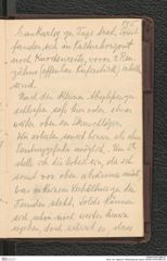 Seite 149, Tagebuch "Mießlingtal b[ei Spitz]" (NHMW-PRAE-BBB-28)